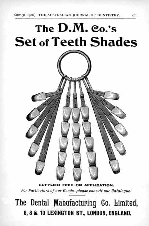 Set of Teeth Shades